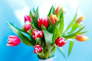 lindo bando de tulipas rosa pastel, borda floral na luz de fundo, vista superior. layout para férias de primavera. cartão dia das mães foto