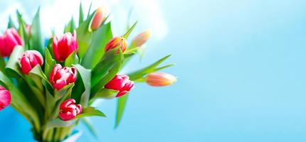 lindo bando de tulipas rosa pastel, borda floral na luz de fundo, vista superior. layout para férias de primavera. cartão dia das mães foto