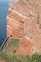 a ilha de helgoland foto