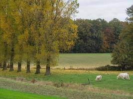 tempo de outono na Westphalia foto