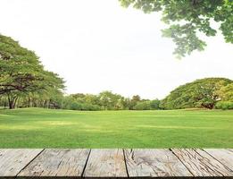 gramado de grama verde no jardim com grande árvore e piso de madeira foto