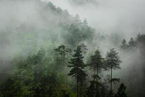 montanha escura, floresta de pinheiros com nevoeiro foto