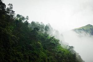 montanha escura, floresta de pinheiros com neblina foto