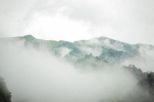 montanha escura, floresta de pinheiros com neblina foto