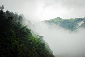 montanha escura, floresta de pinheiros com neblina foto