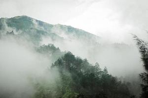 montanha escura, floresta de pinheiros com neblina foto