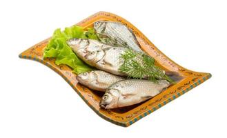 peixe crucian no prato e fundo branco foto