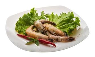 camarão rei no prato e fundo branco foto