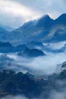 nevoeiro no nascer do sol da manhã na plantação de chá e cabana em doi ang khang, chiang mai, tailândia foto