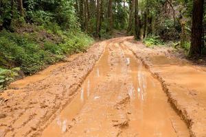 estrada de campo molhada enlameada em chiang mai, norte da tailândia. trilha trilha lama estrada na floresta natureza paisagem rural. transporte de caminho de poça de barro marrom no país foto