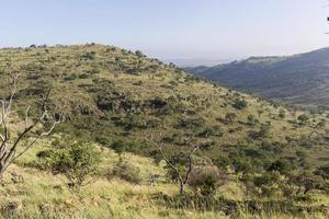 paisagem com colinas e árvores foto