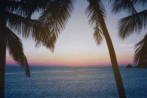 belas palmeiras pôr do sol laranja silhueta céu praia. foto