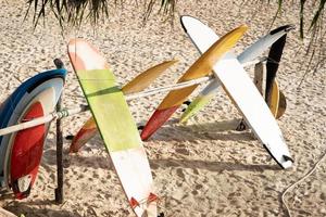 palmeira de pranchas de surf na praia férias de verão ensolarado, close-up. foto