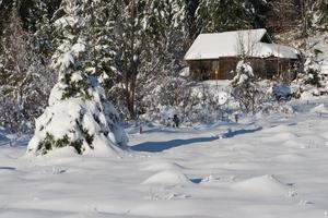pequena cabana de madeira em desertos cobertos de neve fresca foto