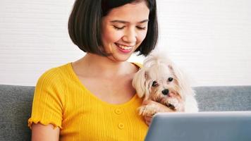 mulher asiática trabalhando em um laptop e cachorro shihtzu sentados juntos em um sofá em casa foto