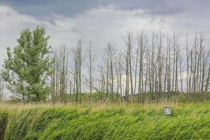 pesado chuva tempestade nuvens vento ondas água oste rio germany. foto