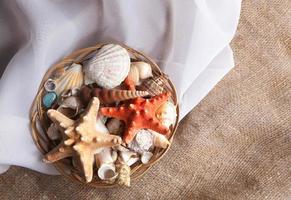 conjunto de conchas em uma cesta em um tecido de seda foto