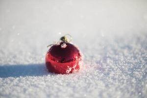 bola de natal na neve foto