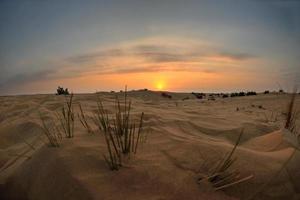 belo pôr do sol no deserto foto