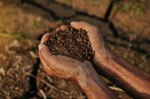 agricultor segurando o solo em close-up de mãos. foto