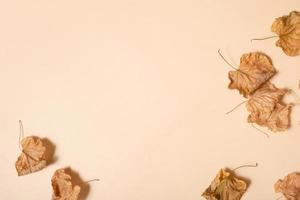 composição de outono. moldura feita de folhas secas em fundo bege pastel. outono, conceito de outono. configuração plana, vista superior, espaço de cópia foto