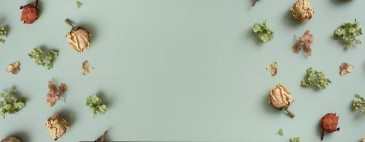 banner com padrão de outono deitado com flores secas de hortênsia, rosas e pétalas em fundo de cor verde pastel. vista superior, copie o espaço foto
