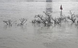 clima extremo - zona pedonal inundada em colônia, alemanha foto