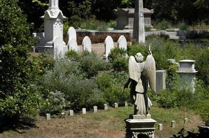 sepulturas no cemitério de mount auburn em boston, ma foto
