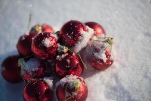 bola de natal na neve foto