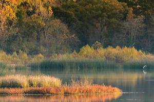 imagem horizontal de uma lagoa do texas no outono.