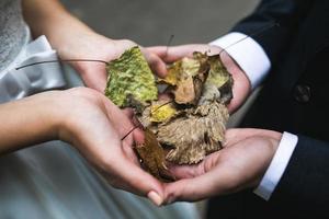 noivos segurando alianças e folhas de outono nas mãos foto
