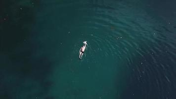 vista aérea em um nadador na água azul-turquesa de um lago foto