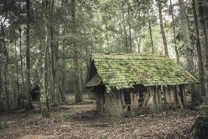 casa de madeira velha na floresta foto