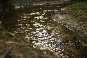 um riacho na floresta. água doce flui através de um canal natural. foto