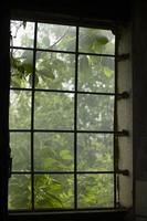 treliça na janela, em que são visíveis moitas de árvores verdes. luz solar, arquitetura de uma casa de campo. foto