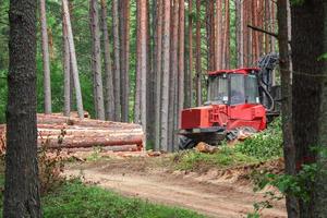 máquina de floresta vermelha que limpa árvores na floresta verde de verão em pé perto da estrada arenosa cercada por troncos de árvores em crescimento foto