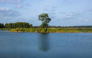 paisagem, uma árvore solitária em uma ilha no meio do lago é refletida na água escura foto