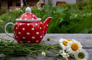 bule vintage vermelho com padrão de bolinhas em um fundo de madeira com margaridas foto