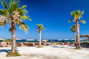 palmeiras na estância turística faliraki na ilha de rhodes, grécia foto