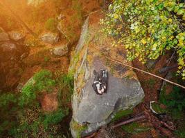 imagem de drone aéreo de cima para baixo de uma floresta. foto