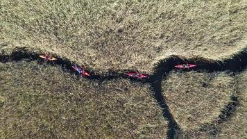 grupo de pessoas em caiaques entre juncos no rio outono. foto