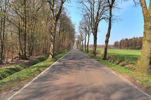 bela vista em estradas rurais com campos e árvores no norte da europa foto