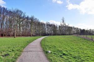 bela vista em estradas rurais com campos e árvores no norte da europa foto