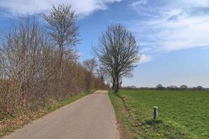 bela vista em estradas rurais com campos e árvores no norte da europa foto