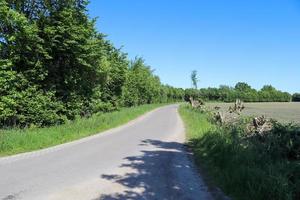 bela vista em estradas rurais com campos e árvores no norte da europa foto