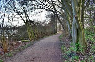 bela vista em estradas rurais com campos e árvores no norte da europa foto