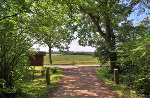 bela vista em estradas rurais com campos e árvores no norte da europa foto