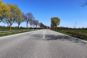 bela vista em estradas rurais com campos e árvores no norte da europa foto