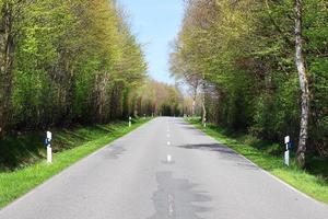 bela vista em estradas rurais com campos e árvores no norte da europa foto