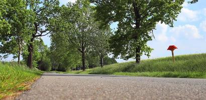 bela vista em estradas rurais com campos e árvores no norte da europa foto